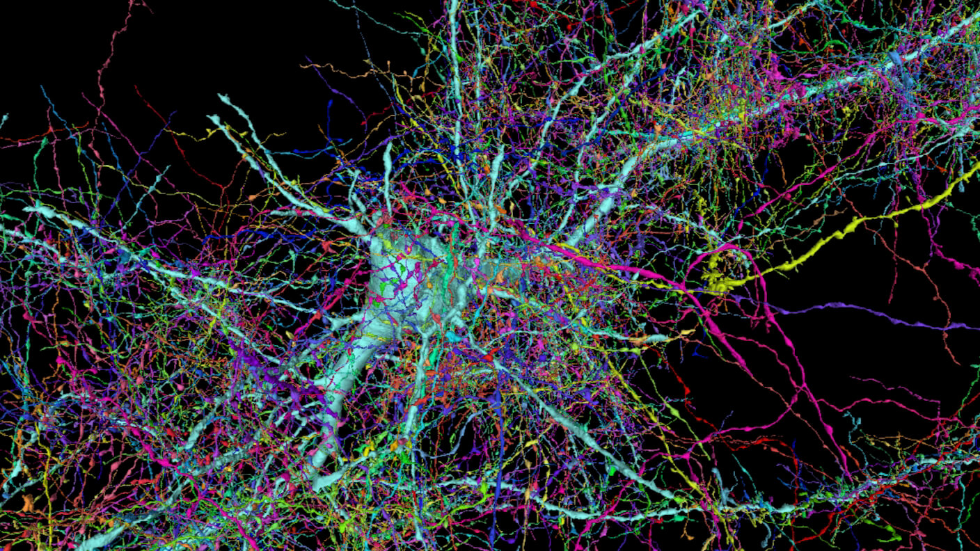 Brain mapping. Human Brain Mapping. Finger s. Origins of Neuroscience. Neuroscience of Birdsong.