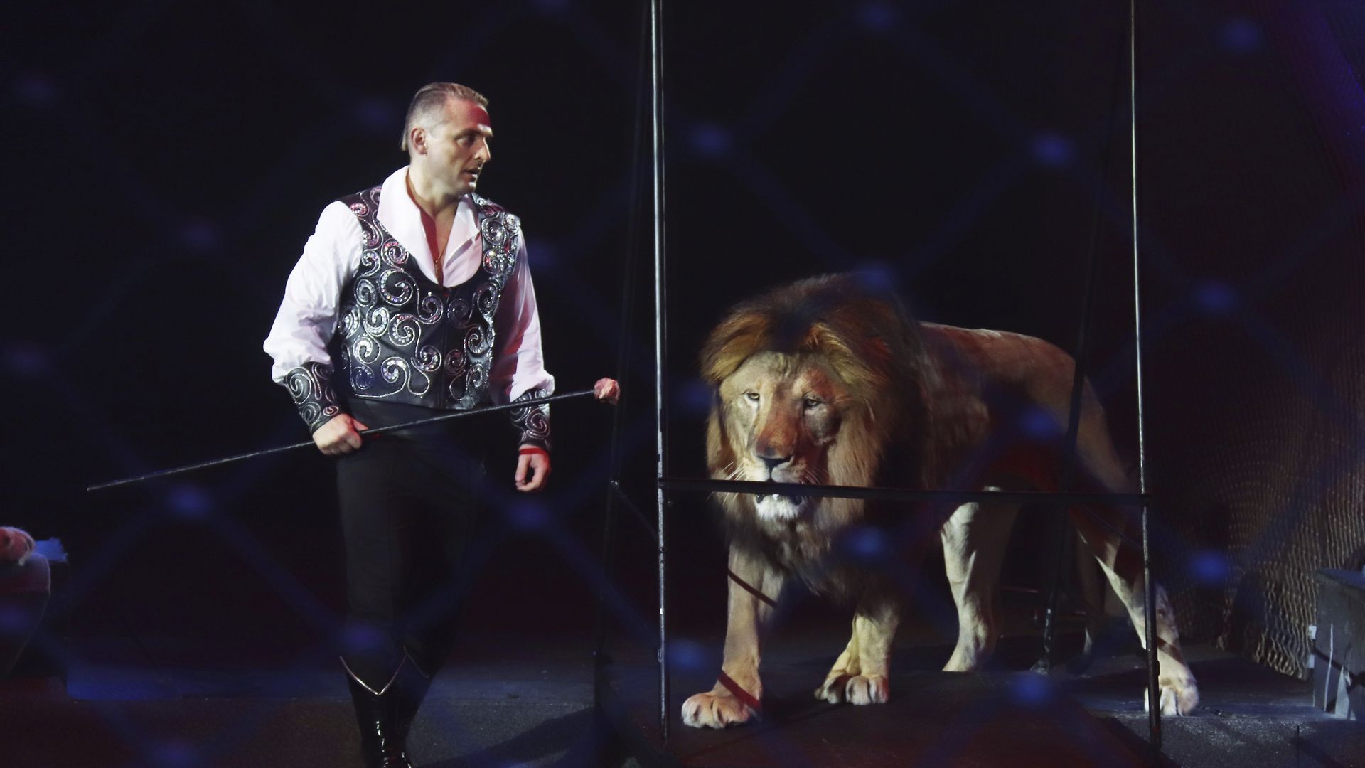 Шоу братьев запашных 2023 спб. Запашные в спб. Аскольд запашный. «страшная сила запашных» запашные. Цирк воронеж запашные 2023 до какого числа.