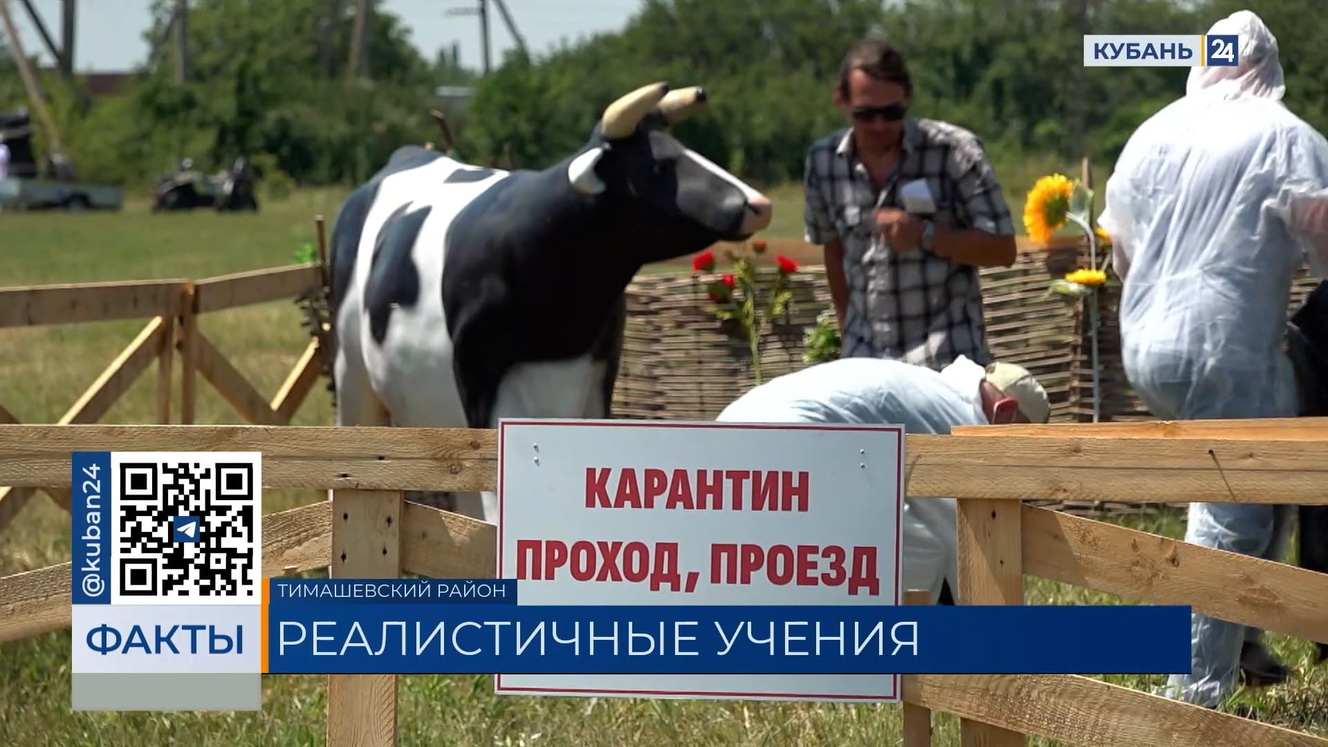 Учения по ликвидации очагов опасных болезней животных прошли в Тимашевске