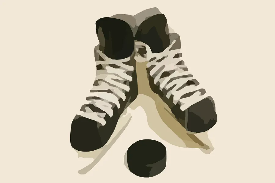 Найти корень ошибок. Хоккеисты СКА и новую серию плей-офф начали с домашнего поражения | ФОТО Pixabay 