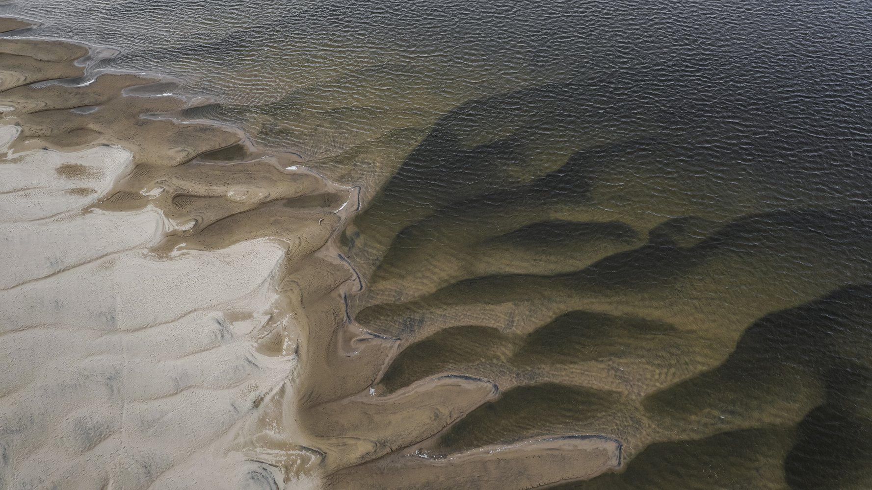 Фото: Андрей Каменев
