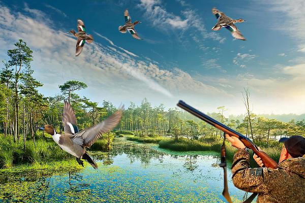 Image from 123rf.com