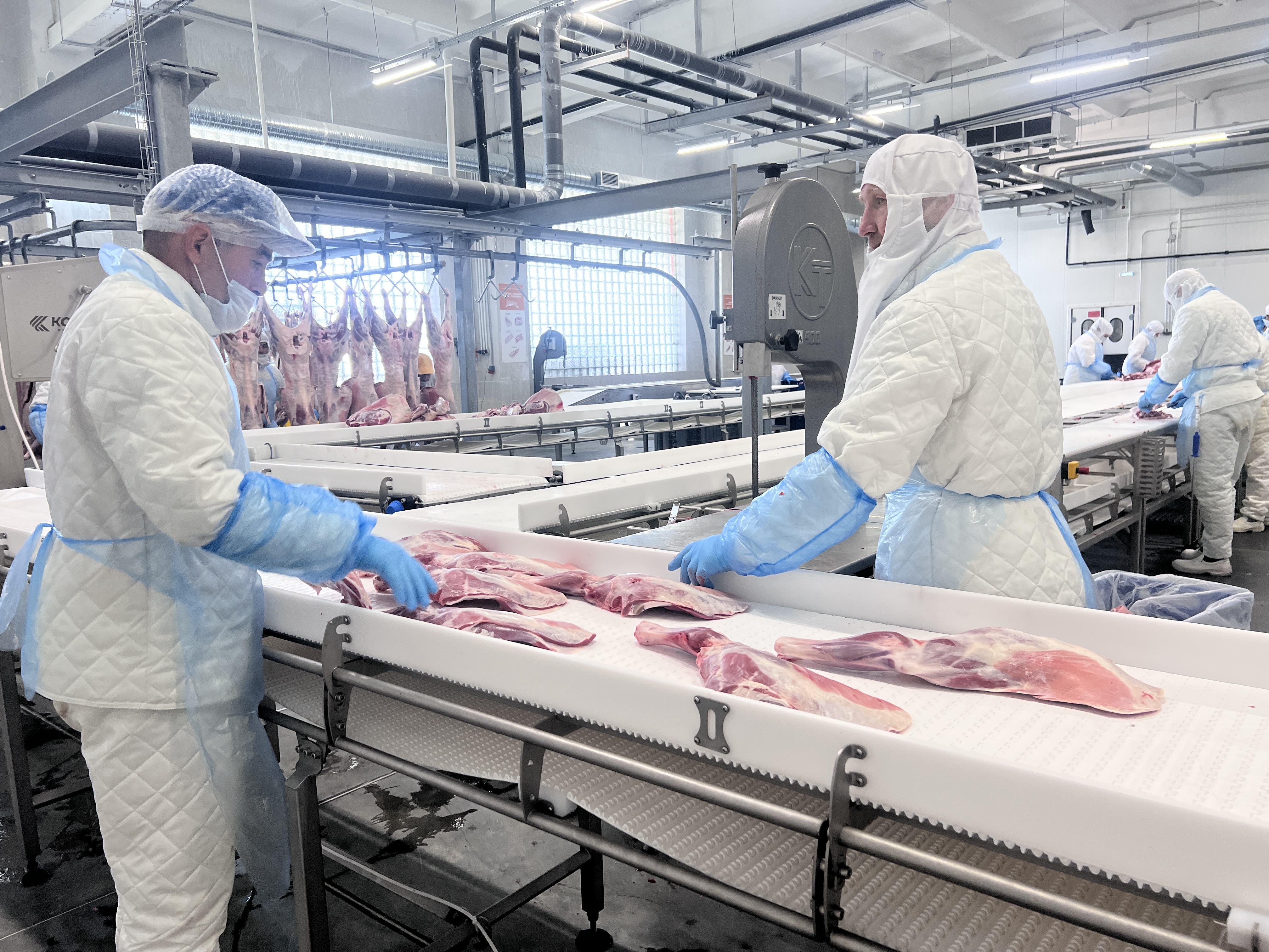 Социальная защита черкесск. Памятка по контрактам. Социальный контракт 2020. Миусская ирина викторовна пермь. Контракт кчр.