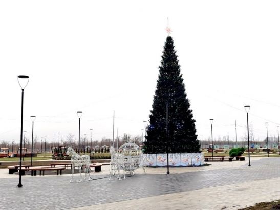 В Новошахтинске на место вернули елку, поваленную ветром