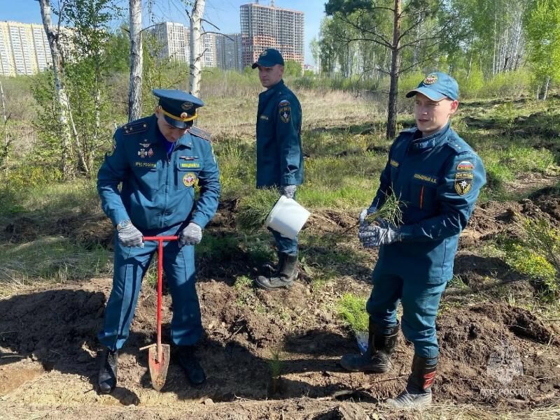 Доброе дело, которое останется на десятилетия