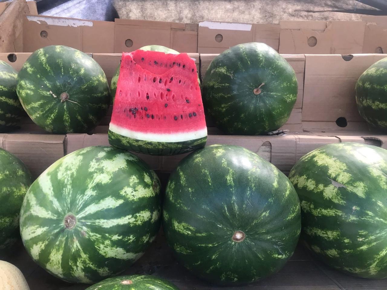 арбуз кг. килограмм арбуза. крымский арбуз. арбуз 4 кг. арбуз темно зеленый.
