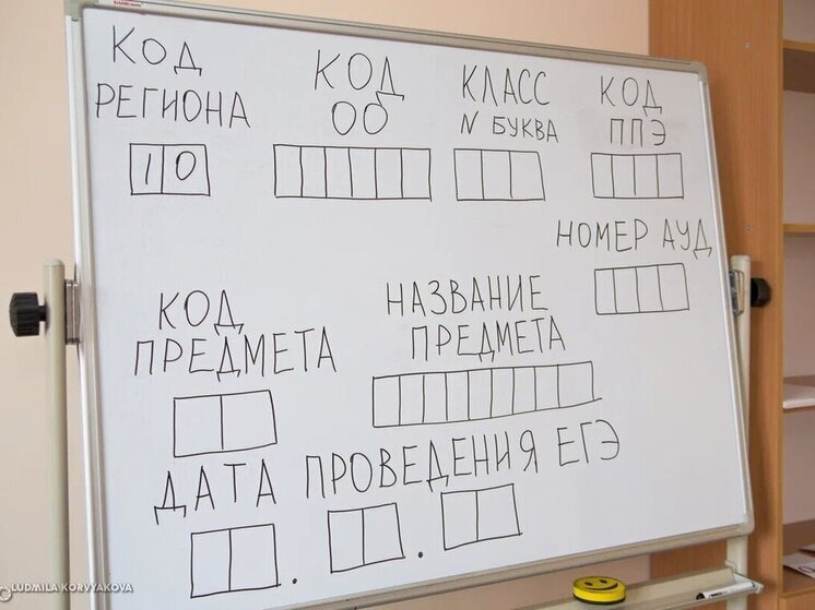 Кондопожский район стал лидером по успешной сдаче ЕГЭ в этом году