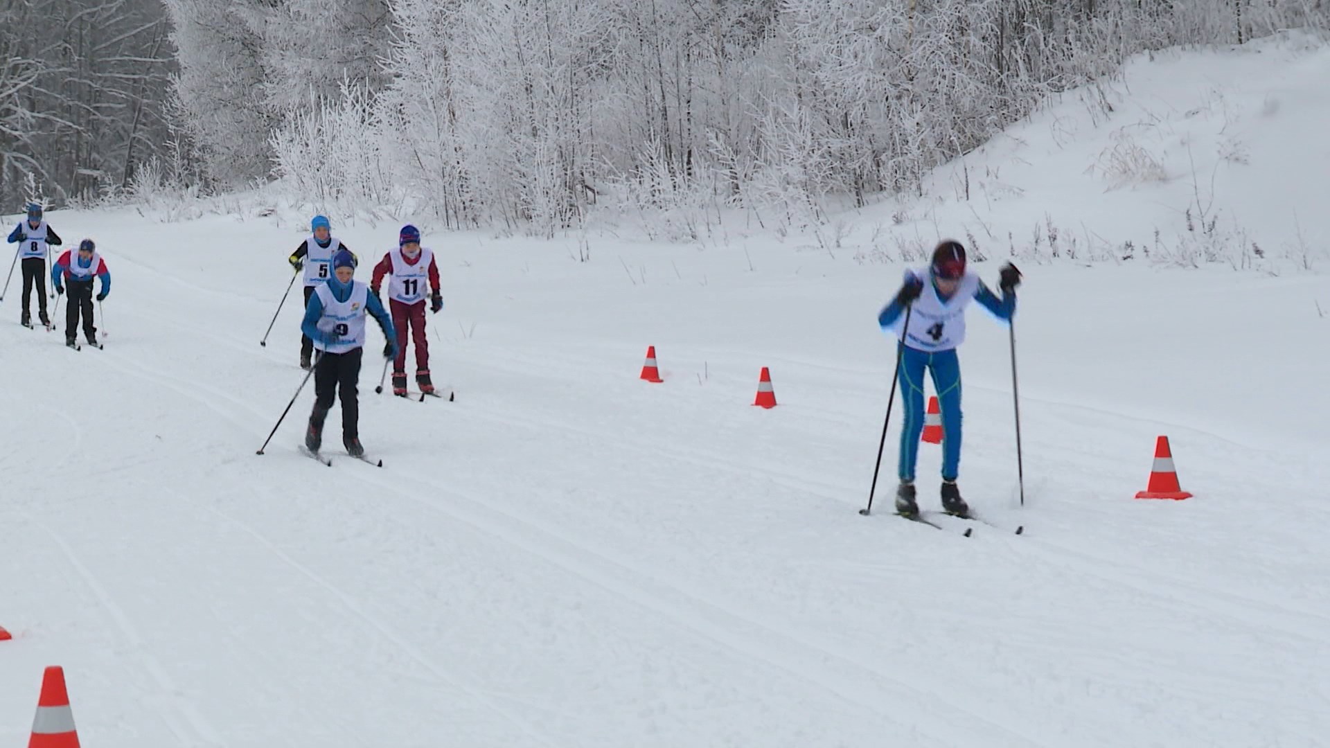 Более 150 спортсменов в Костромском районе примут участие в лыжной гонке