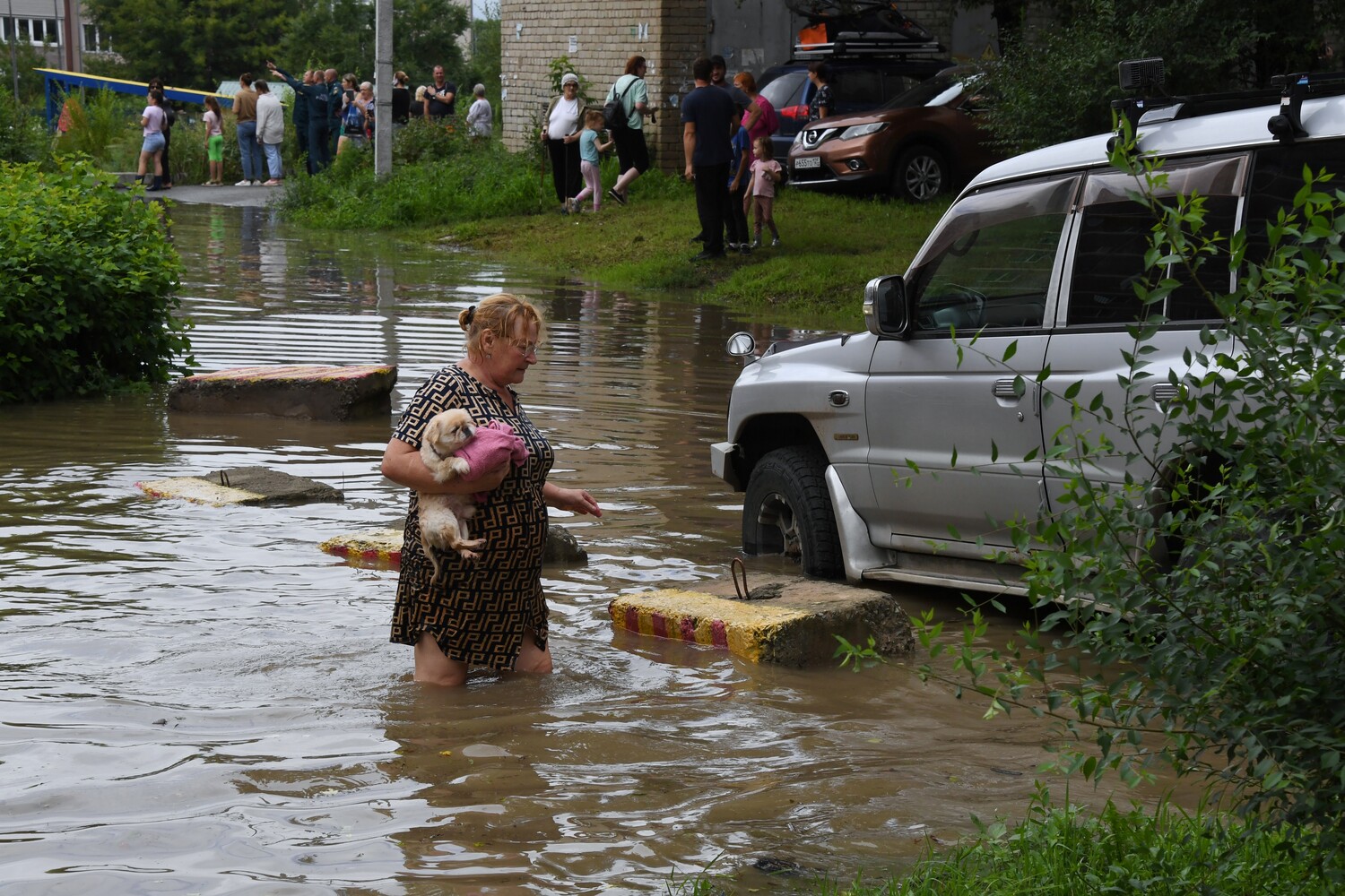 после наводнения манга 2012 фото 86