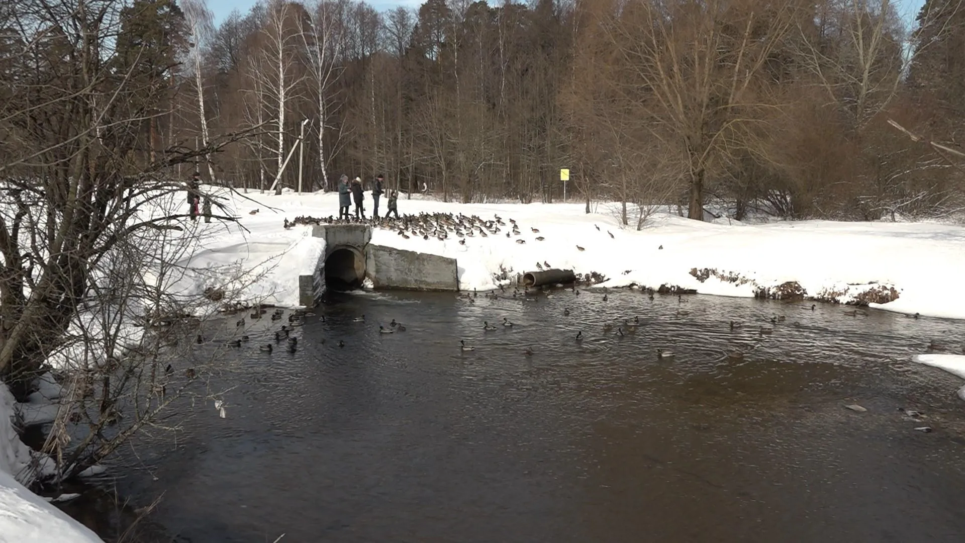 пво в лосином острове