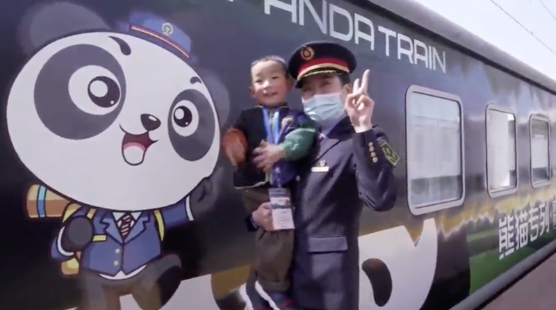 Pandas train. Пэм в поезде.