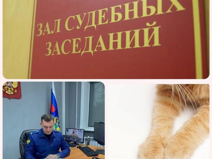  Сахалинец пойдет под суд за убийство кошки