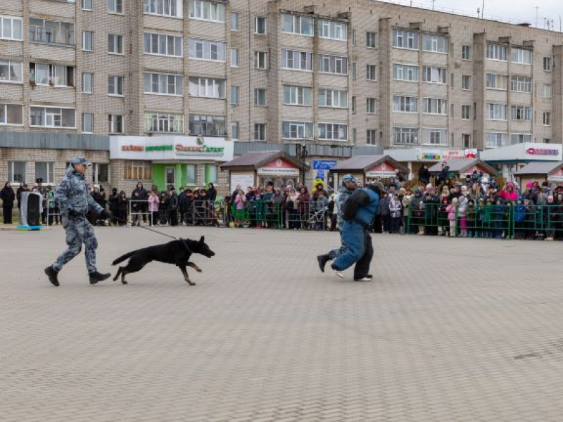 JPG Файл
