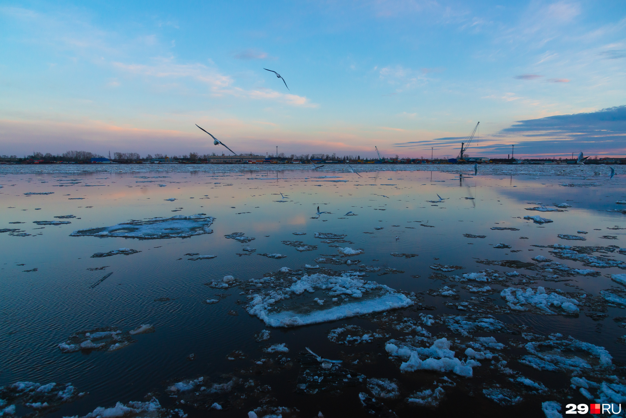 Севгидромет архангельск ледоход. Ледоход в Архангельске. Ледоход в Архангельске 2024. Ледоход в Плесе. Ледоход Архангельск 2023.