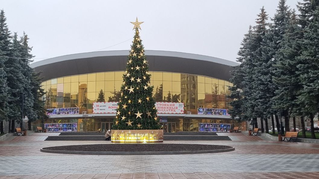В Брянске впервые установили новогоднюю елку возле цирка