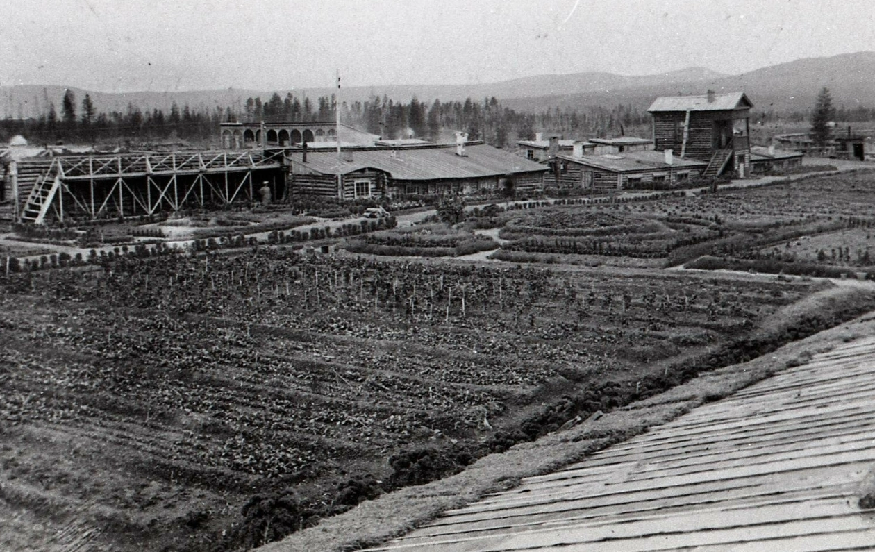 Теплично-парниковое хозяйство Колымской опытной станции, 1938 год
