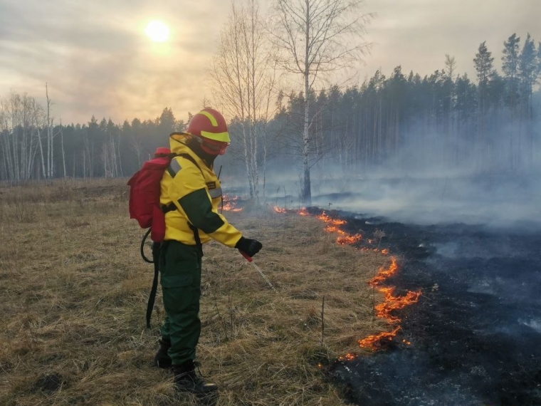 В Омской области снизилось число лесных пожаров 