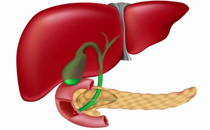 Заболевание печени и желчного. Панкреатит желчного пузыря. Здоровая печень и желчный пузырь. Здоровая печень и поджелудочная.