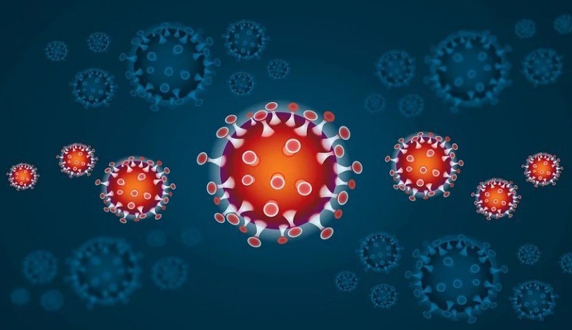 Вирусолог Елена Малинникова объяснила рост числа госпитализаций при коронавирусе