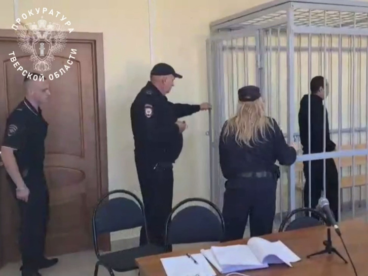 Суд Тверской области арестовал мужчин, ограбивших женщин с зажигалкой в форме пистолета