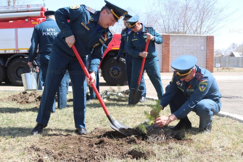 Забайкальские огнеборцы приняли участие в ежегодной Всероссийской акции «Сад памяти»