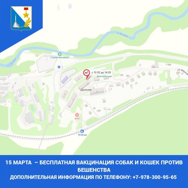 В Нахимовском районе пройдет бесплатная выездная вакцинация собак и кошек от бешенства