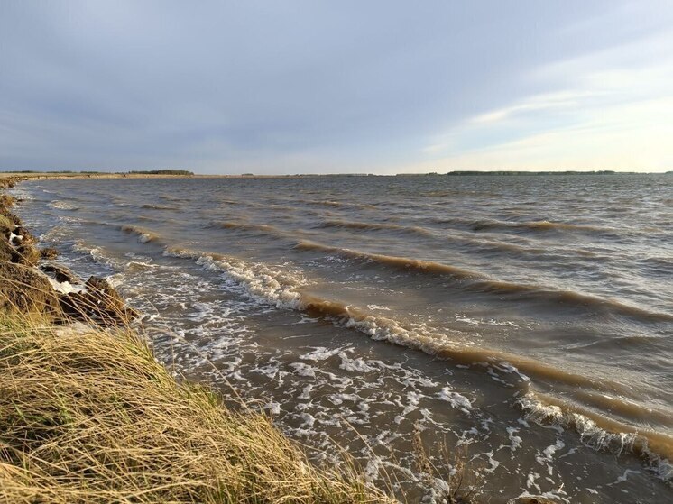 В Омской области с начала купального сезона утонули шестеро несовершеннолетних