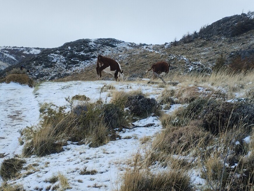Фиц Рой – плод терпения