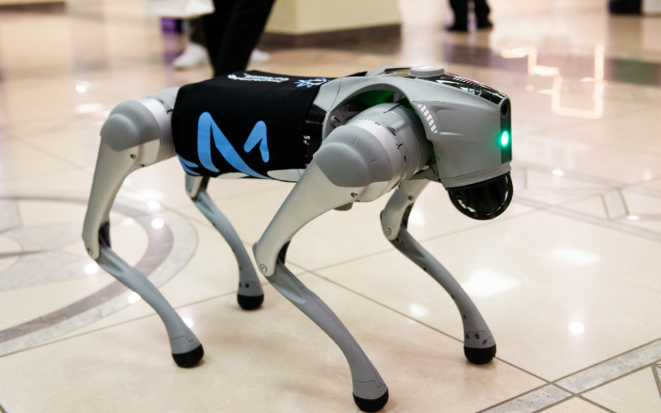 Робособака компании «Открытые решения»