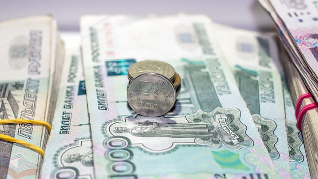 В Новосибирской области два бухгалтера похитили свыше 3,5 миллионов рублей