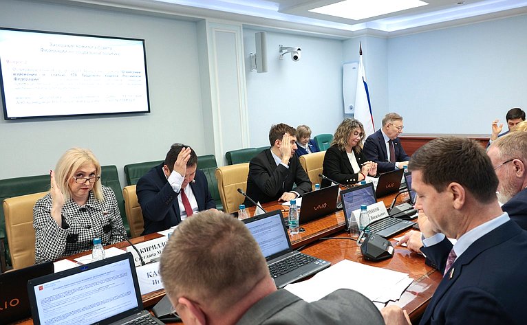 Заседание Комитета Совета Федерации по социальной политике