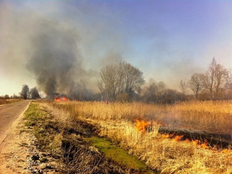 В районе села Восход загорелась сухая трава на площади 200 квадратных метров