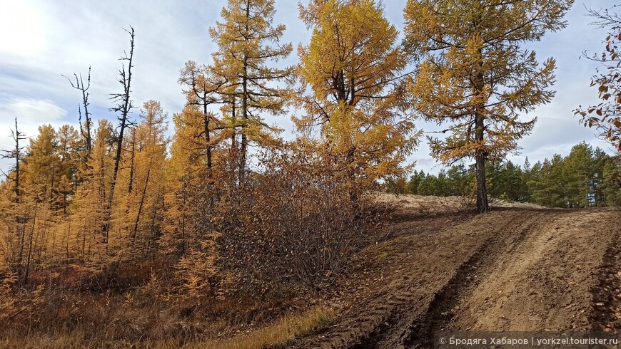 Чарские пески — самая северная пустыня