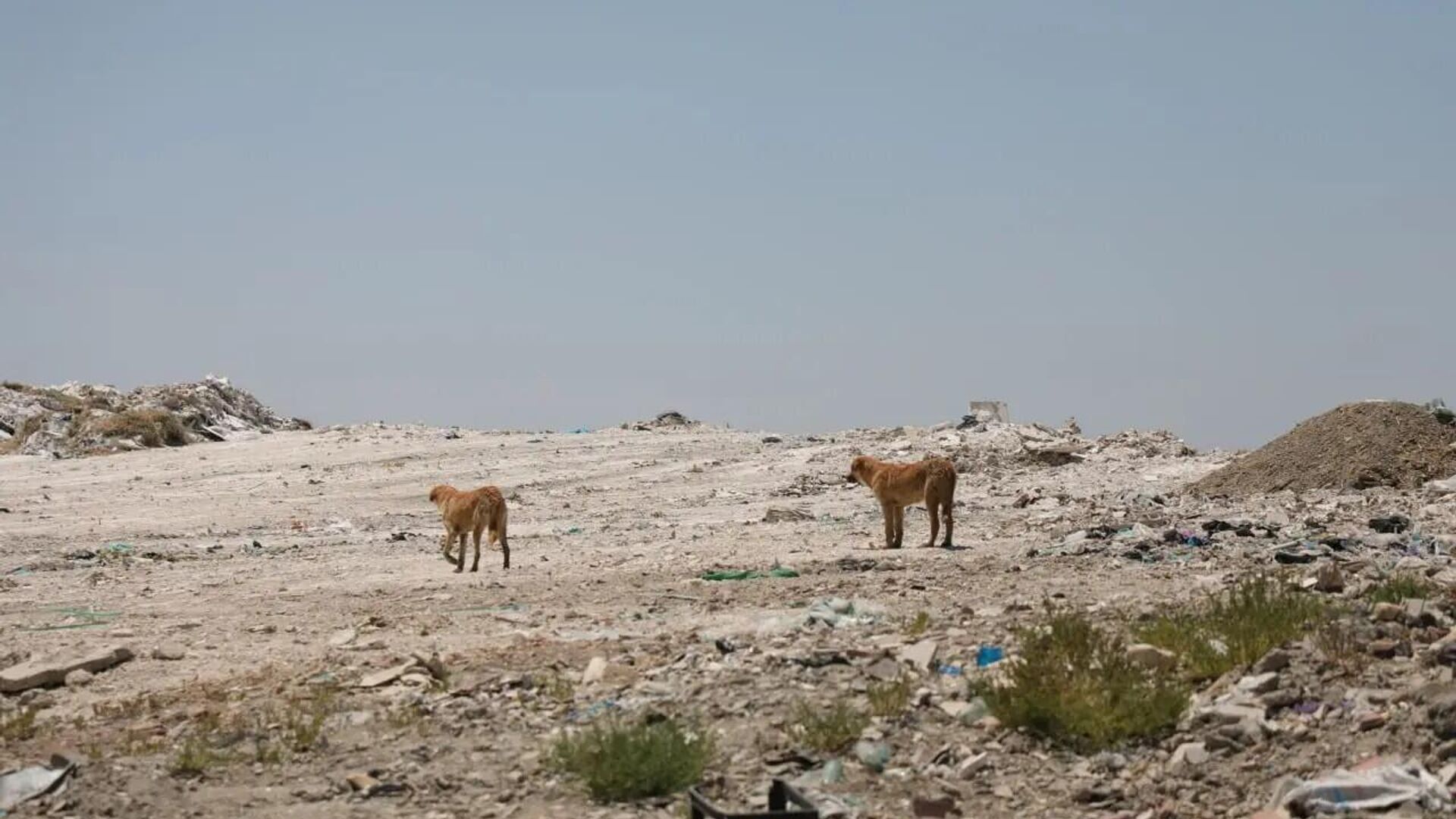 В Узбекистане прекращена деятельность 42 полигонов бытовых отходов, и земли возвращены природе - Sputnik Узбекистан, 1920, 31.10.2025