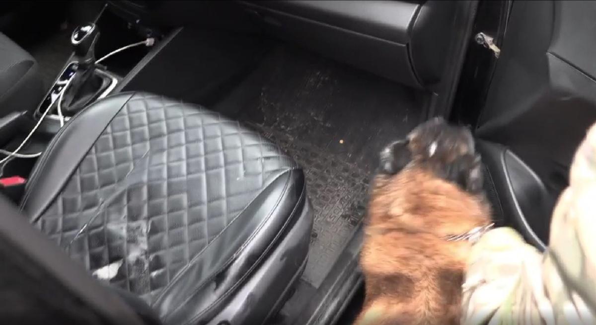 Скриншот видео: ГУ МВД по Петербургу и Ленобласти