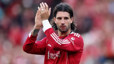 Доминик Собослаи