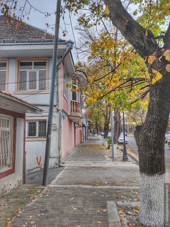 Азербайджанский городок Шеки — халва, пити, дворец ханов и корова в парке 