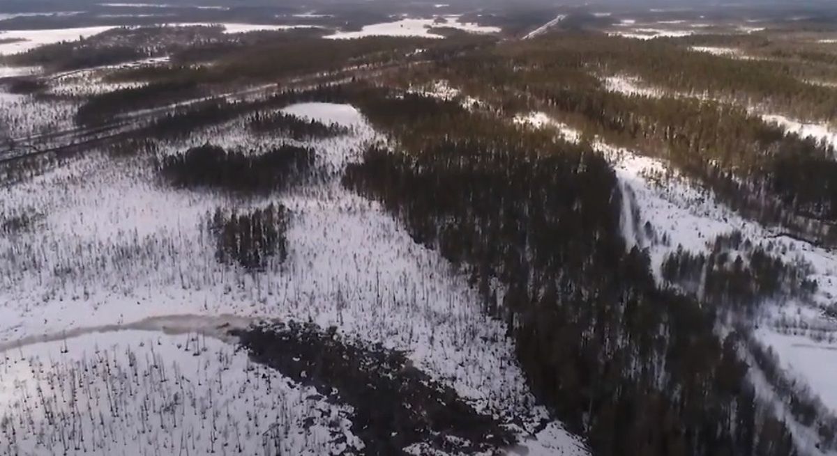 Гектар в арктике. Арктический гектар в Карелии. Арктический гектар 2022. Гектар в Арктике Лесное озеро. Арктический гектар участки фото в лесу.