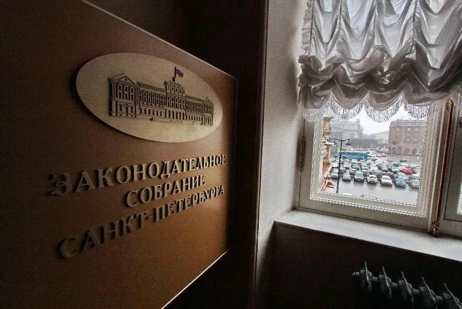 В ЗакСе обсудили, как защитить детей от опасностей | ФОТО Дмитрия СОКОЛОВА