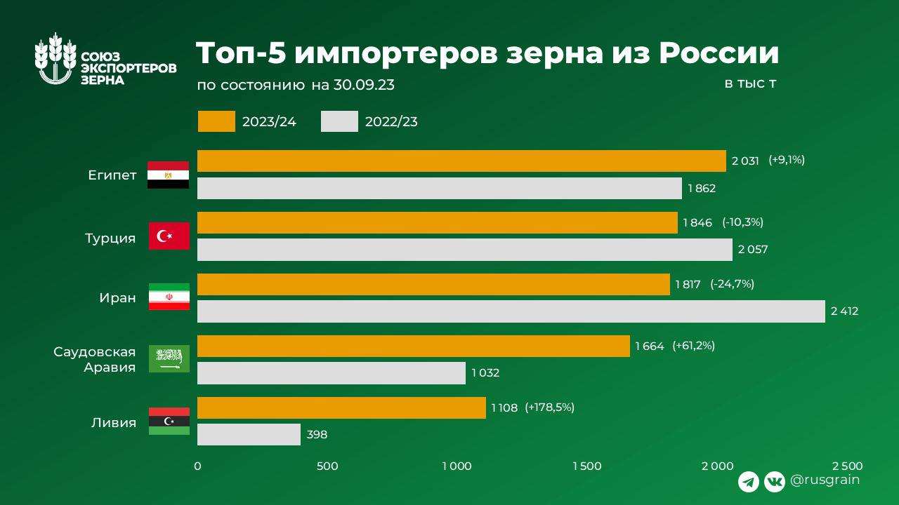 Названа страна — лидер по закупкам российского зерна (ФОТО) | Русская весна