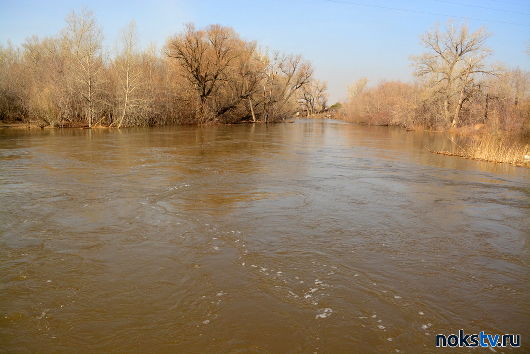 Какой уровень воды в урале в орске