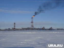 Кроме нефти и газа, в Арктике есть запасы металлов и многих других ресурсов, объяснил геолог Александр Мазарович 