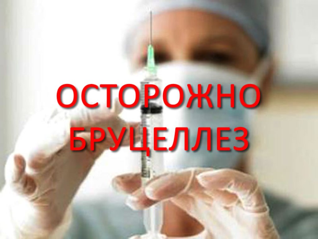 Меры по профилактике бруцеллеза