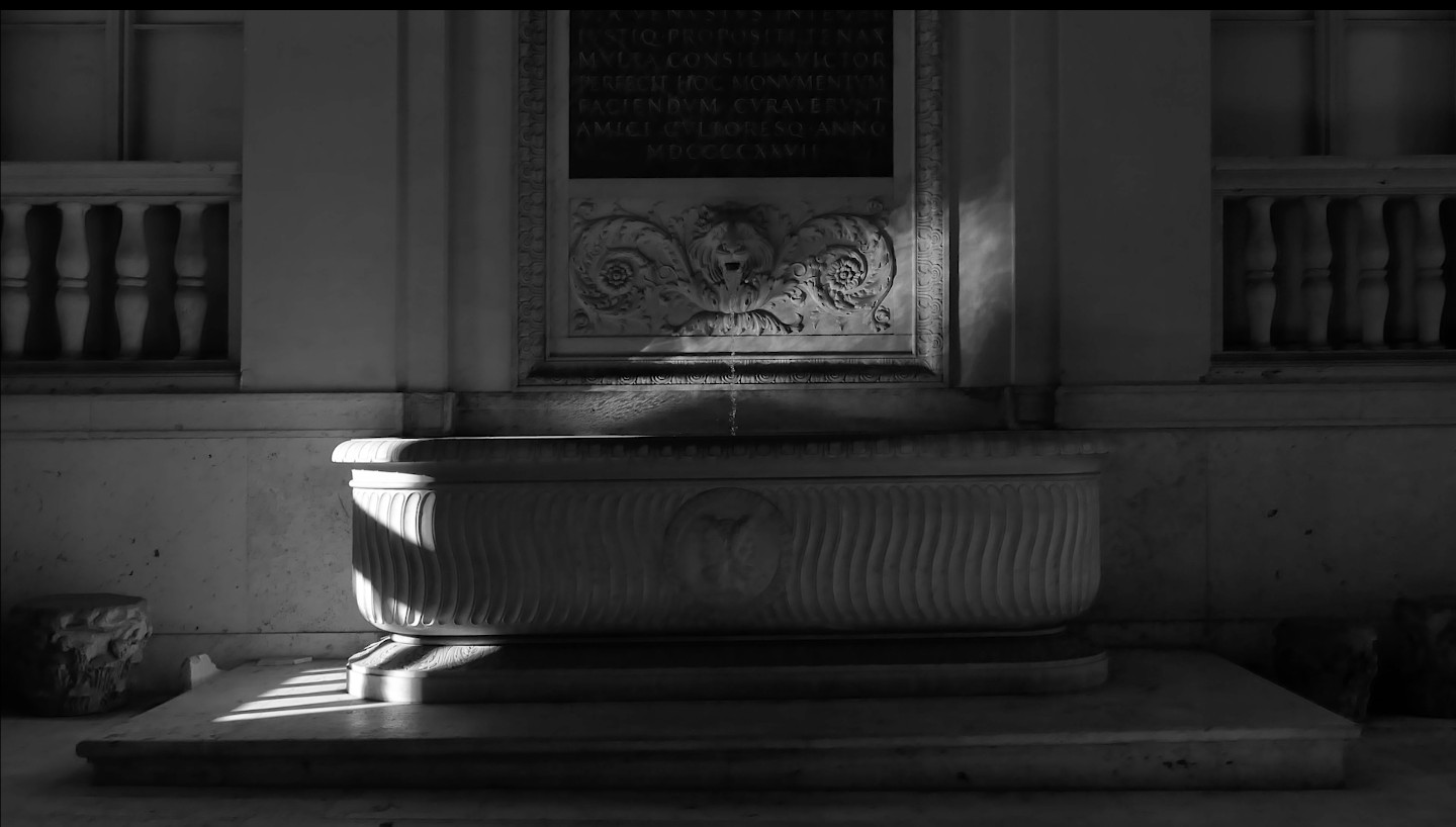 Свидетельства игры света и тени представят в РОСФОТО1