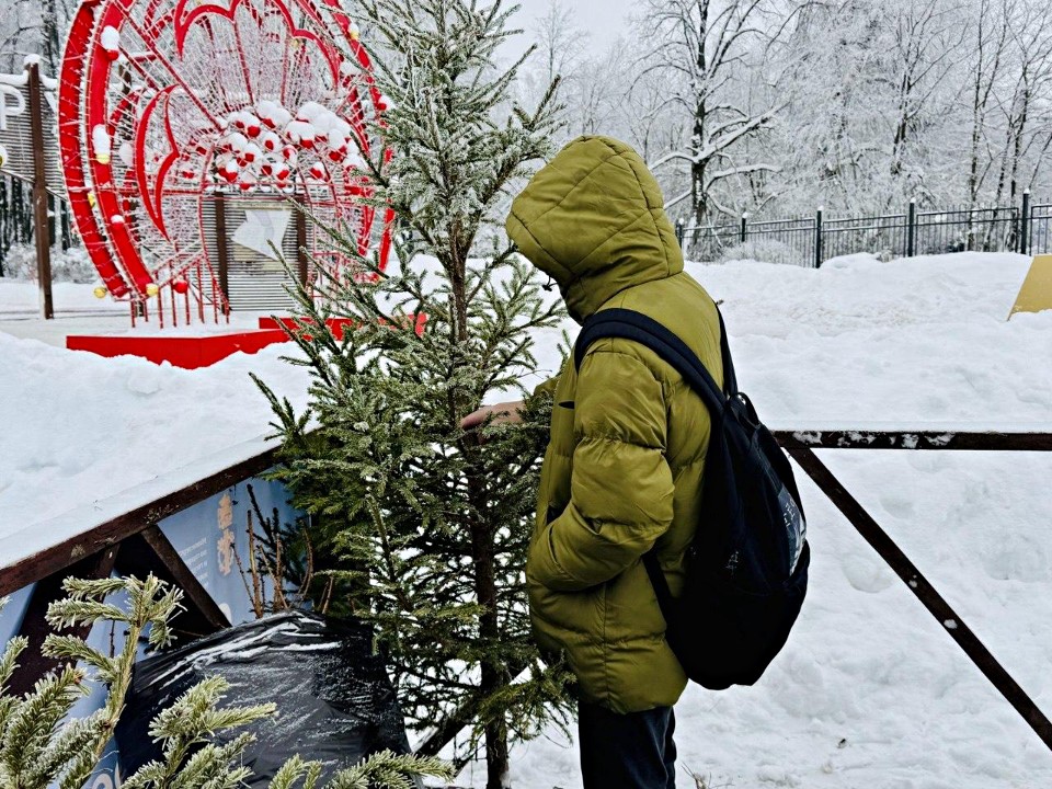 Фото: REGIONS/Татьяна Сташенко