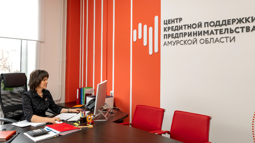 Демобилизованным участникам СВО помогут развить свой бизнес в Приамурье - gtrkamur.ru