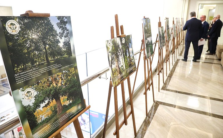 Совещание Комитета Совета Федерации по аграрно-продовольственной политике и природопользованию «О реализации Всероссийской программы «Деревья – памятники живой Природы»»