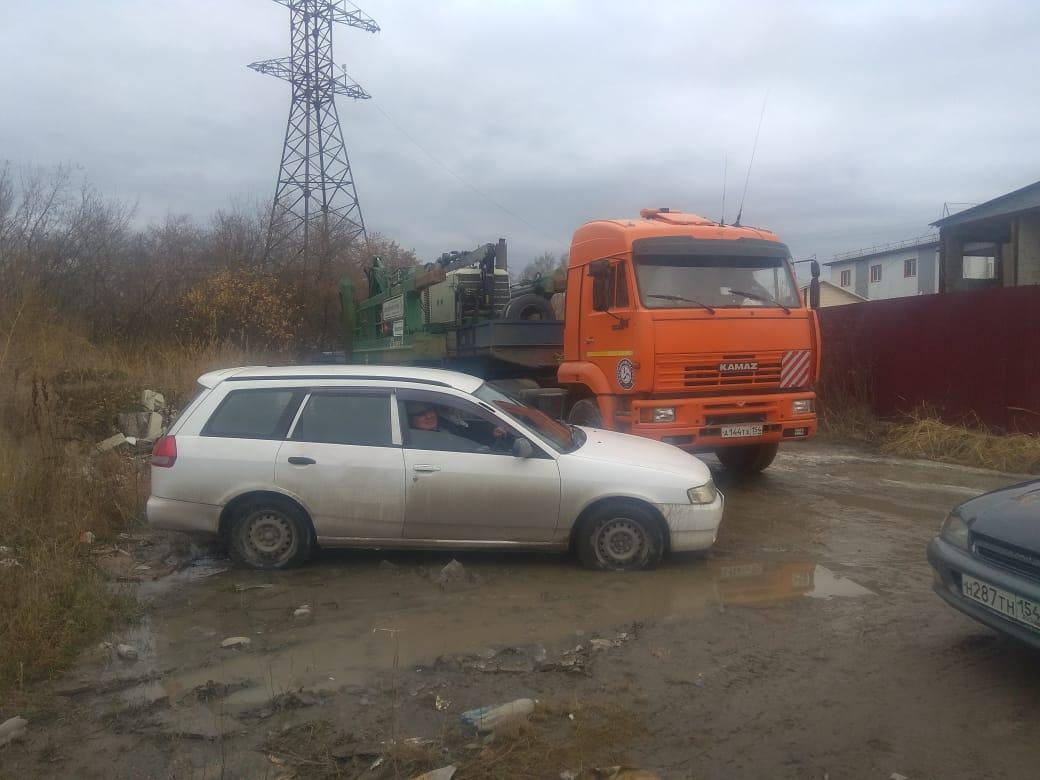 Фото В Новосибирске активисты с Нижней Ельцовки надеются на возбуждение дела из-за краснокнижной гнездоцветки 4