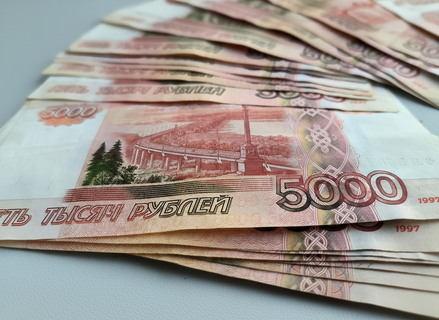 Школа, где воруют не мел, а миллионы: как учительница из Петербурга превратила своих коллег в спонсоров