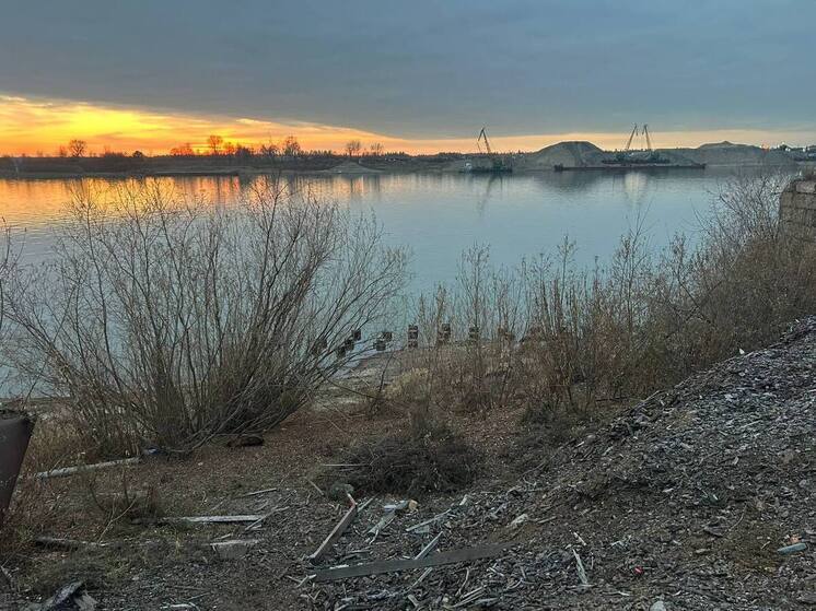 Томская природоохранная прокуратура устранила нарушения на первомайской лесопилке